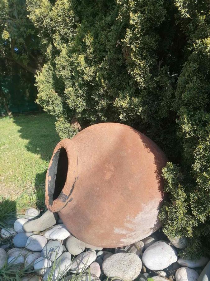 Villa Angela Dhrousha エクステリア 写真
