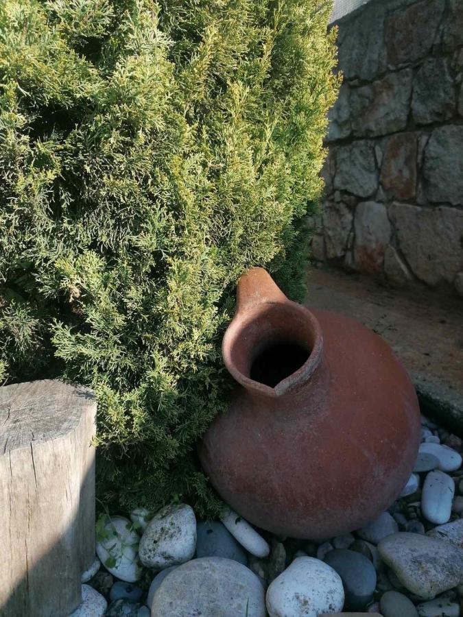 Villa Angela Dhrousha エクステリア 写真